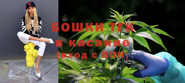спиды Козловка