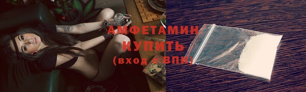 гашик Козельск