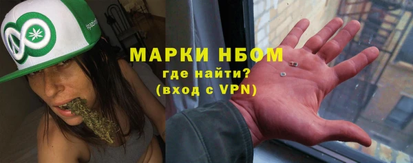 гашик Козельск