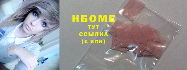 гашик Козельск