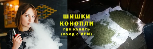гашик Козельск
