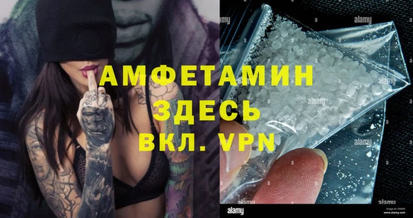гашик Козельск