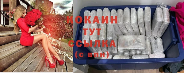 гашик Козельск