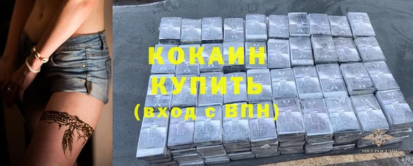 гашик Козельск
