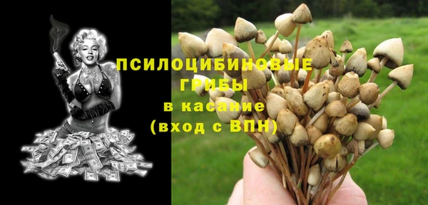 молекула духа Кодинск