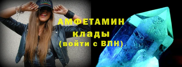 гашик Козельск