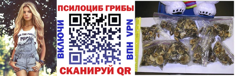 Псилоцибиновые грибы Magic Shrooms  Купить закладки  Печора 