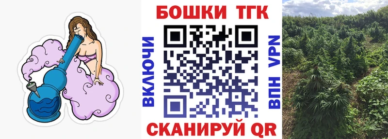 Купить  Печора  Бошки Шишки гибрид 